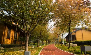 Huashan Self-driving Camping Hotel - Image 2