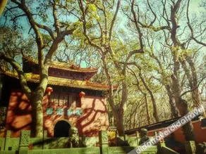 Zhoushan Putuo Mountain Buddha Farmhouse - Image 1