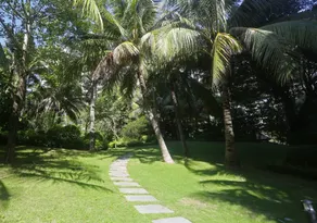 Qingshui Bay Mandao Seaview Holiday Hotel - Image 4