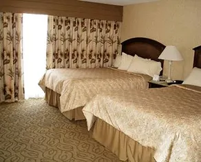 Golden Inn - Image 4