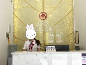 Nomo Apartment (Foshan West Railway Station, Shadi Airport) - Image 3