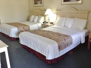 Americas Best Value Inn West Columbia - Image 5