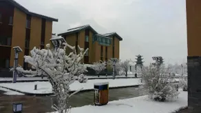 Rainbow Tribe Resort Hotel - Image 4
