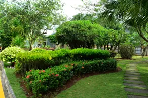 Shanhai Holiday Resort - Image 4