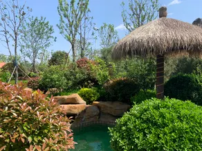 Lushang Spring Lake Resort - Image 4