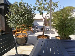 Mingshe Culture Art Hotel - Image 2