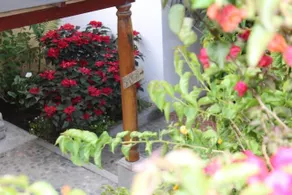 Casa Buho B&B - Image 5