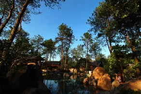 Wuyi Tangfeng Hot Spring Resort - Image 3