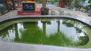 Rongjia Guoyun Hot Spring Resort - Image 5