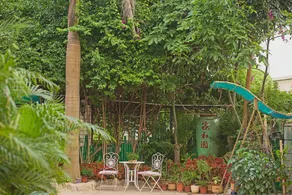 MISS 5 - Image 2