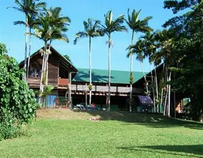 Jackaroo Treehouse Mission Beach - Hostel - Image 2