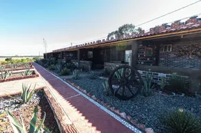Los Agaves Hotel Y Cabañas - Image 5