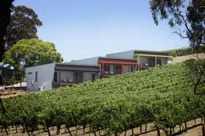 Longview Vineyard - Image 2