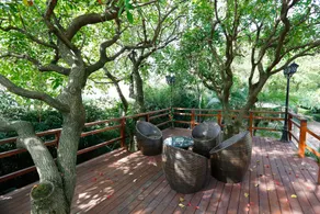 Dandi International Villa Hotel - Image 4