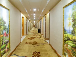 Vienna International Hotel (Shijiazhuang Zhonghua North Street) - Image 4
