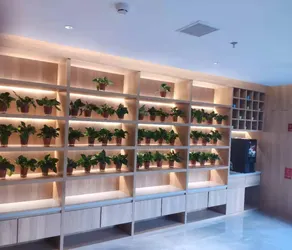 GreenTree Inn Express Hotel (Tianjin New National Exhibition Center) - Image 5