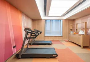 Hanting Xi'an Xianyang International Airport Terminal T5 Hotel - Image 5