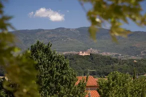 Villa Il Palagio - Image 4
