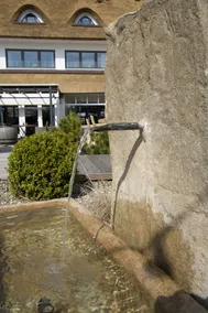 Das Landhotel Wittenbeck - Image 2