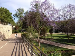 MD Modern Hotel - Jardines - Image 5