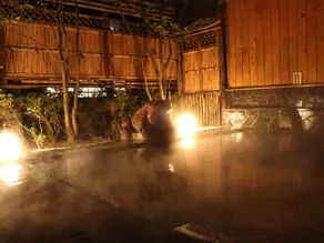 Hotel Tenryukaku - Image 2