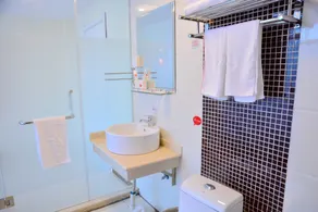 Thank Inn Plus Hotel Taian Dongyue Middle School Tangwang Avenue - Image 4