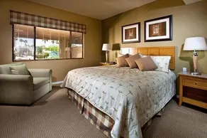 Desert Isle of Palm Springs - Image 2