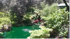 Kilauea Hospitality Group - Image 4