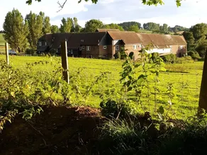Winchelsea Lodge - Image 2