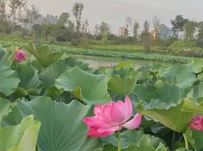 Rezen Hotel Meiyo - Image 5