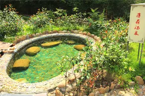 Yudai Longquan Hot Spring Hotel - Image 4