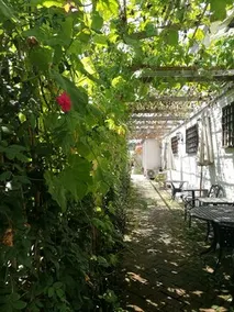 Manhong Homestay Characteristic Homestay - Image 4