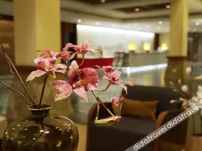 Springs Resort - Image 2