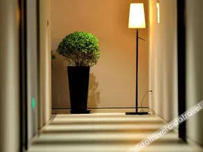 Home Inn Plus Urumqi Huanghe Road Traditional Chinese Medicine Hospital Hetian 2nd Street - Image 5