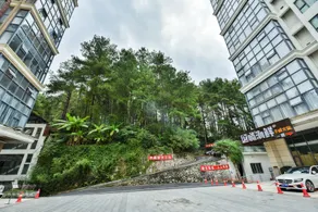 City Forest Hotel - Image 5