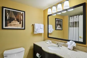 Comfort Inn & Suites Frisco East - McKinney - Image 4
