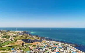 Jeju Woljeong Charu - Image 5