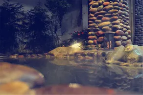 Shangyuge Hot Spring Hotel (Nanxun Ancient Town Scenic Area Branch) - Image 5