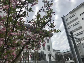 Huiyuan International Hotel - Image 3