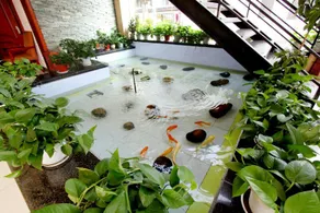 Longyuan Business Hotel - Image 4