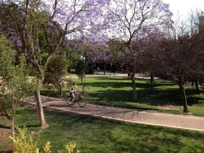 MD Modern Hotel - Jardines - Image 4