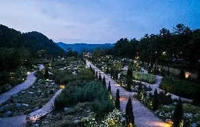 The Stay Healing Park - Image 5