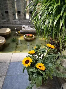 Liquan Fudu Biyuan - Image 2