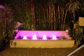 Royal Palms - Image 3