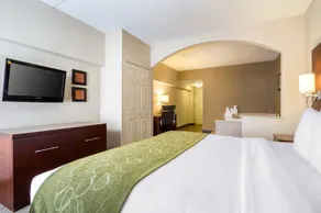 Comfort Suites at Woodbridge - Image 5