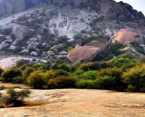 MTR Hotel & Resorts - Image 4