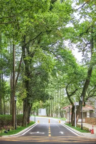Cuiliu Hotel - Image 5