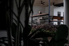 Nomad Living CR, Tarcoles - Image 5