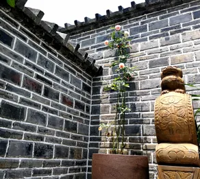 Mingshe Culture Art Hotel - Image 3