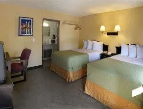 HOTEL PRIMERA - Image 5